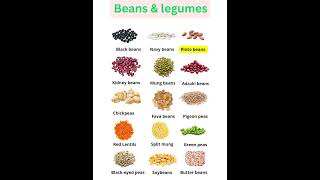 Beans and Legumes Names English Vocabulary with Pictures English Names with Pictures Shortfeeds [upl. by Yenaled416]