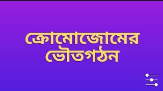 Chromosome Structure ক্রোমোজোমের ভৌত গঠন in Bengali [upl. by Aroved]