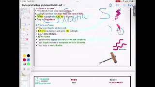 Microbiology  Bacterial Structure And Classification  Mutah [upl. by Menon]