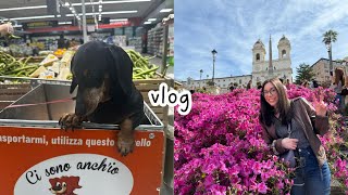 Italian vlog una passeggiata in centro al supermercato un pranzo al mare a Ostia Subtitles [upl. by Enilarac]