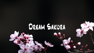 Japanese impressed music No Copyright quotDream Sakuraquot Piano Free BGM [upl. by Sherurd]