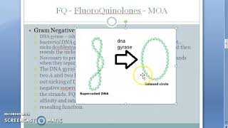 Pharmacology 707 b FluoroQuinolones Mechanism Of Action Quinolones DNA Gyrase inhibitor supercoil [upl. by Judas]