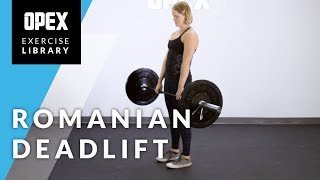 Romanian Deadlift  OPEX Exercise Library [upl. by Noremmac]