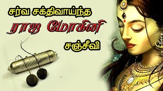 மிகவும் சர்வ சக்திவாய்ந்த ராஜ மோகினி சஞ்சீவி தாயத்து  சர்வலோகம் வசியம்  ராஜமோகினி வசிய தாயத்து [upl. by Mcclees]