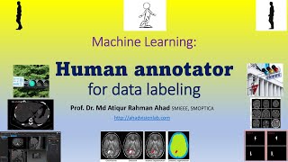 7 AI Machine Learning Human annotation Data labeling Examples of Labeling MITK Gait [upl. by Potter71]