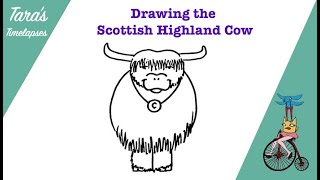 How to Draw the Scottish Highland Cow [upl. by Evey]