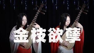 【琵琶】金枝欲孽  笛子二重奏 Pipa Cover by Carolyn Wang 梦游天下  不爱宫墙柳，只被前缘误。花开花落自有时，总赖东君主。 [upl. by Lekcim]