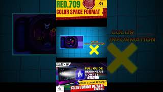 Master Rec709 Color Grading in Premiere Pro 🎬 [upl. by Romonda]