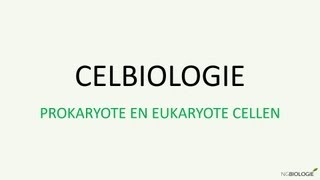 Celbiologie  Prokaryote en eukaryote cellen [upl. by Towrey786]