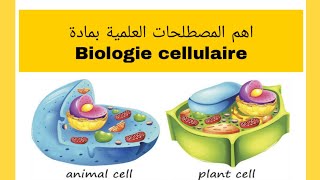 اهم المصطلحات العلمية بمادة Biologie cellulaire L1 S1 Snvles mots scientifiques [upl. by Kirschner]