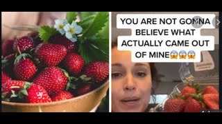 TikTok Videos Show Worms Crawling Out Of Strawberries [upl. by Llenej]