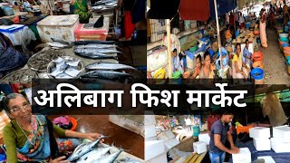 Alibaug Fish Market 🐟अलिबाग मधील सर्वात मोठं व सर्वात स्वस्त होलसेल फिशमार्केट  सुरमई Fish Cutting [upl. by Deevan368]