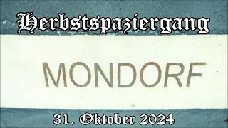 Niederkassel Mondorf Herbstspaziergang 31 Oktober 2024 [upl. by Rettuc]