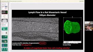 Another Amazing Interview with Pr Jimmy Moore New Research on Lymph Vessel Pumping amp Lymph Nodes [upl. by Deborah]