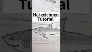 Hai Zeichnen Tutorial  Lass uns gemeinsam zeichnen zeichnen zeichenidee zeichnenlernen [upl. by Kresic]