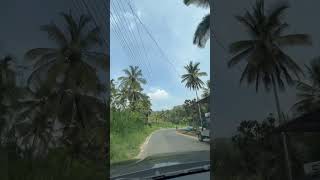 Driving on Kerala Road  Kia Sonet 2024 bhojpuri kerala ytshorts shorts elu elu [upl. by Hepsiba]