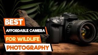 nikon d5600 maximum zoom 🤯 test and video 📸 shorts nikon trending dslrcamera photography [upl. by Deys]