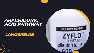 Arachidonic Acid Pathway pharmacology [upl. by Ellatsyrc]