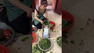 Stainless Steel Vegetable Chopper stuffing cuttingvegetable cuttingmachine viralvideo shorts [upl. by Anirdnaxela]