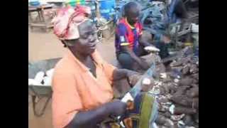 Épluchage du manioc I Groupement Baséka de Pokola Ouesso [upl. by Sager]