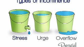 Prevail  Types of Incontinence [upl. by Xed]