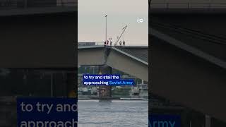 Bridge collapses into river in Germanys Dresden  DW News [upl. by Eillac749]