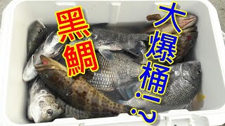 黑鯛大爆桶 八里外海一支釣20180304 [upl. by Eirahcaz]