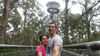 Otway Fly Treetop Adventures Tree Top Walk  Otway Ranges  Victoria Australia  Great Ocean Road [upl. by Nileek]