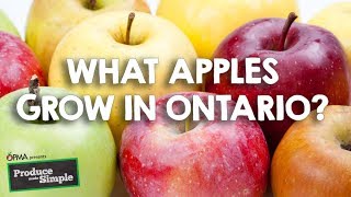 Apple Varieties of Ontario [upl. by Glover]