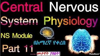 Central Nervous System Physiology NS Module Part 11 Based on the new Ethiopian Curriculum [upl. by Thissa]