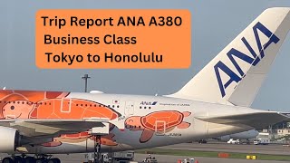 Trip Report  Business Class  ALL NIPPON AIRWAYS  Flying Honu  A380  Tokyo Narita to Honolulu [upl. by Maryl]