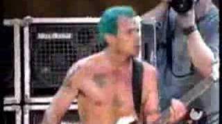 Red Hot Chili Peppers  Easily live  Woodstock 99 [upl. by Acsirp]