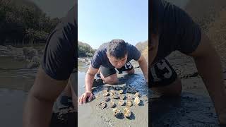 Survival Skills  Unexpected sea Shells amazing [upl. by Saul]