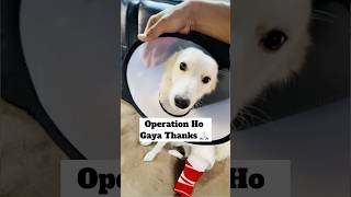 Operation Ho Gaya 🥹  minivlog [upl. by Mercer]