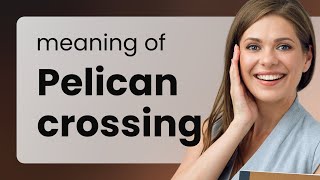 Understanding quotPelican Crossingquot A Guide to British Road Crossings [upl. by Chastain72]