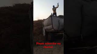 Moth claction I mpsgodara3836 I short vlog I godara namaste I short youtube [upl. by Eelamme787]