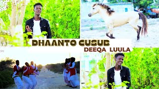 MAXAMED DHAANTO  DHAANTO CUSUB  DEEQA LUULA Official Video Kooxda Qaran Band [upl. by Nonregla603]