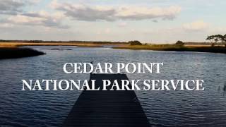 Exploring Northeast Floridas Cedar Point Preserve [upl. by Guise]