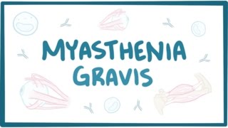 Myasthenia gravis  causes symptoms treatment pathology [upl. by Laenej29]