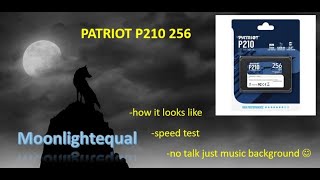 PATRIOT P210 256 GB SSD  unboxing quick speed test [upl. by Romine]