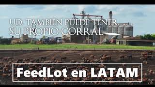 20220930 Feedlot en Mercedes URU [upl. by Nyrem]