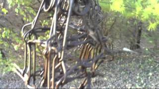 Greenhorn Trapping Part 1 Coon Mink Fox Coyote Beaver [upl. by Johnette]