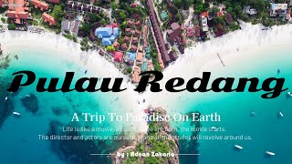 Pulau Redang 4D3N Full Story Trip Kg Redang  Long Beach  Snorkeling With NemoTurtleampSharks [upl. by Latihs]