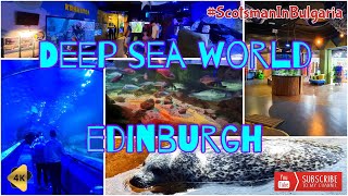 Deep Sea World  Edinburgh  Scotland  Attraction [upl. by Adamsun665]