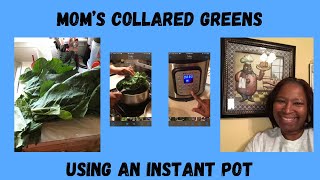 Mom’s Collard Greens for Thanksgiving 2024 [upl. by River]