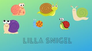 🎵 BARNSÅNGER PÅ SVENSKA 🎵  Lilla snigel  BarnaTV [upl. by Eimorej]