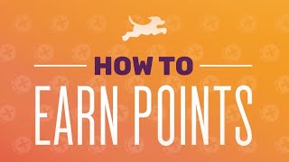 Fetch How to Earn Points [upl. by Atinyl]