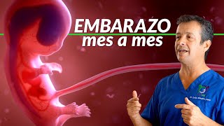 Primeros síntomas de embarazo🤰 [upl. by Naivaj]