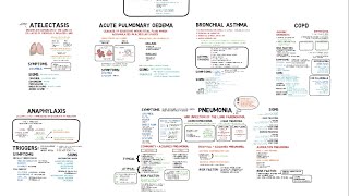 Approach to Dyspnea  Part 1 Sudden amp Rapid Adult Dyspnea [upl. by Aened]