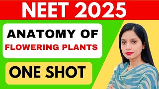 ANATOMY OF FLOWERING PLANTS  Complete CHAPTER In ONE SHOT  CLASS 11 NEET  NCERT LINE BY LINE [upl. by Allen]